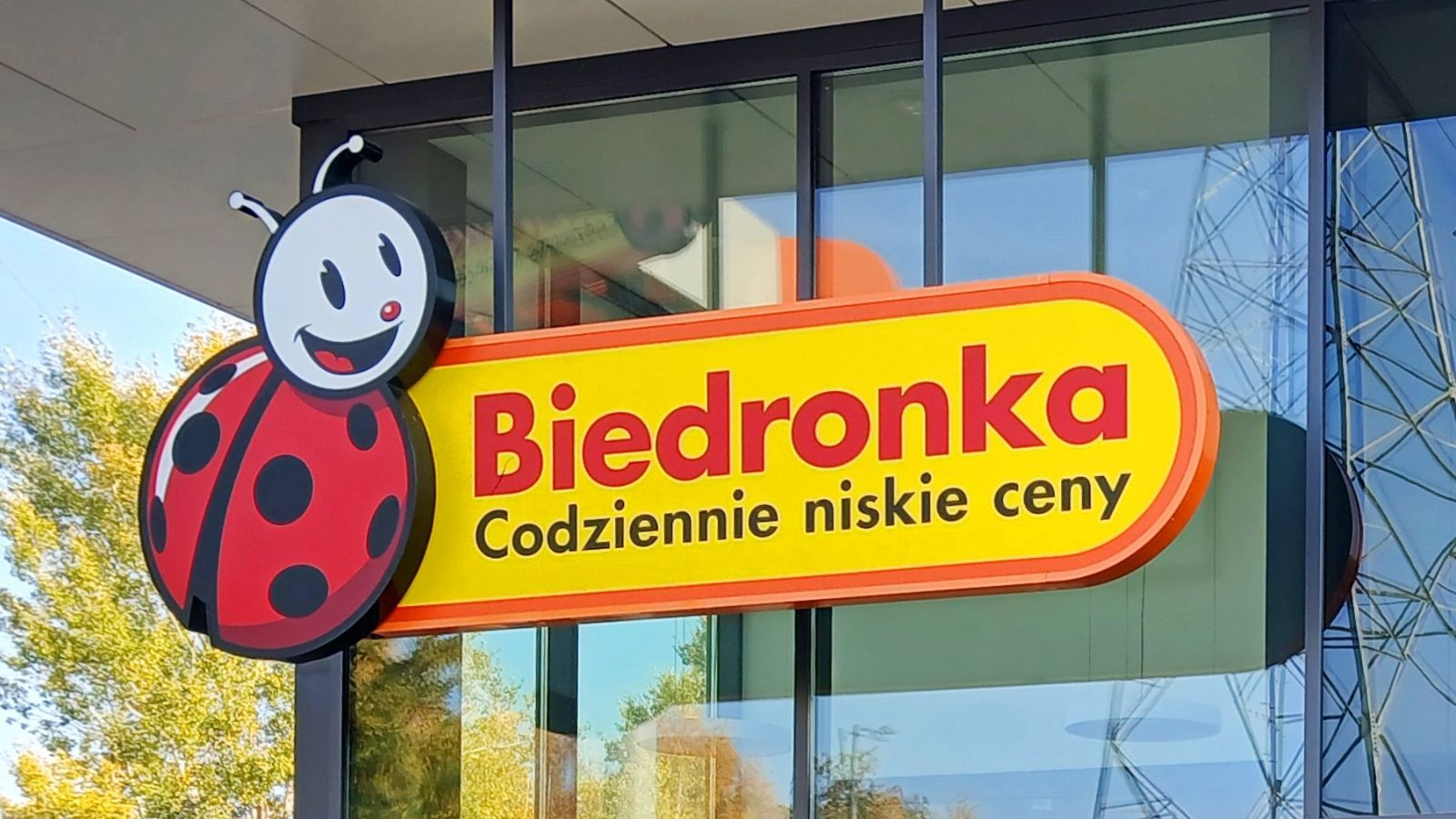 Biedronka: lody Lava Marletto za 0,99 zł tylko 5 sierpnia, limit osiem sztuk dziennie